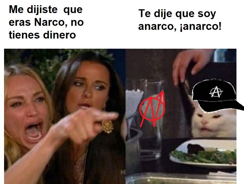 meme gato blanco