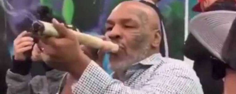 Mike Tyson marihuana