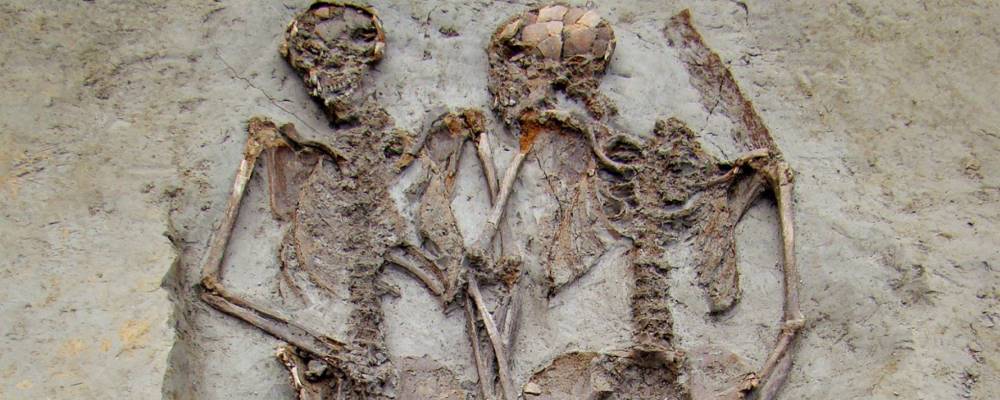 Amantes de modena web