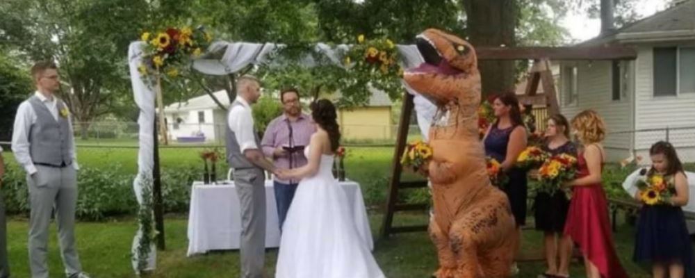 boda dinosaurio
