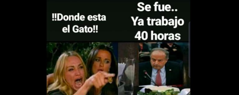 40 horas