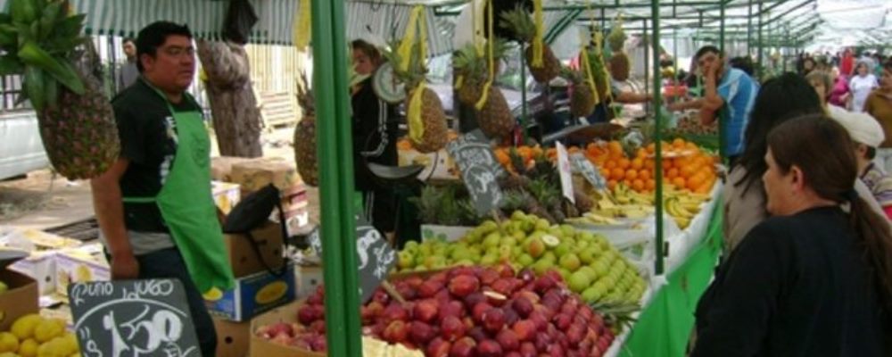 ferias libres gobierno