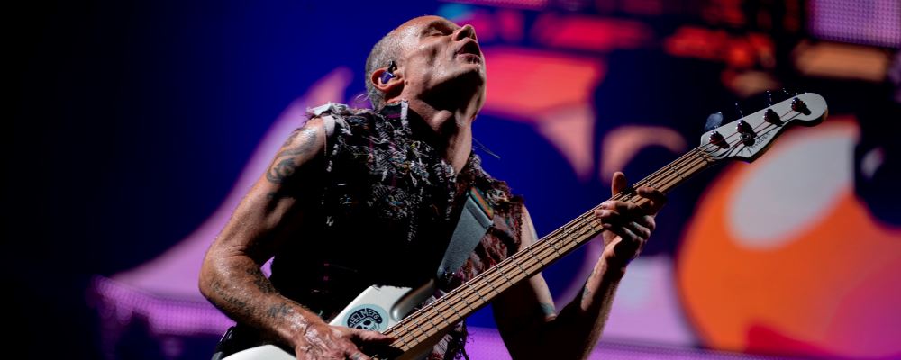 Flea Chile