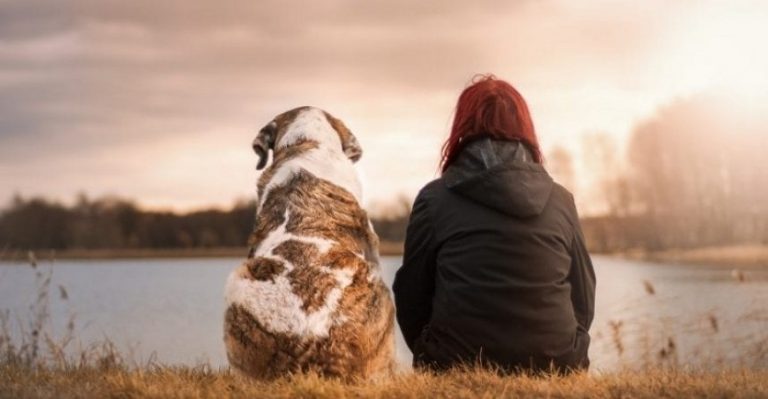 Perro Amigos