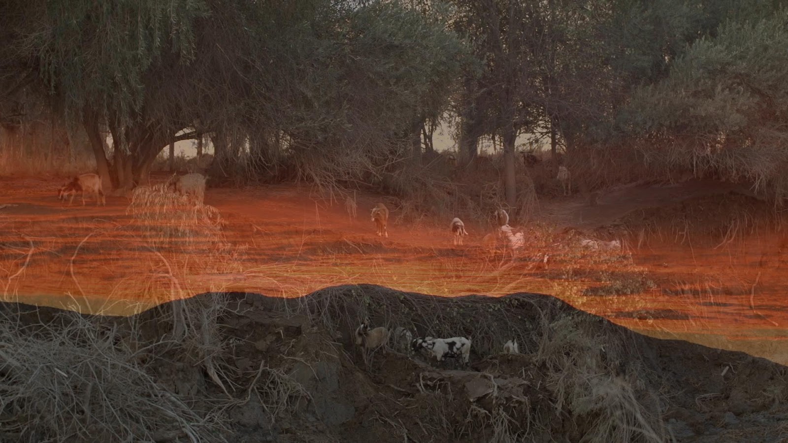 Documental chileno sobre desaparecer en el desierto de Atacama llega al ...