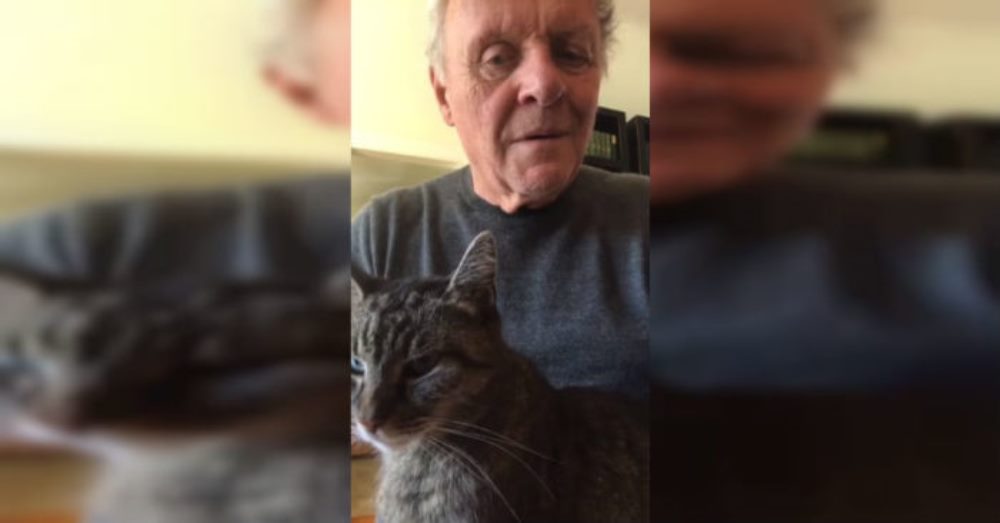 Anthony Hoplins gato cuarentena