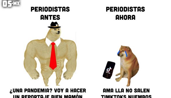 De perro grande a perro chico es el meme que se ríe del presente