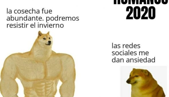 De perro grande a perro chico es el meme que se ríe del presente