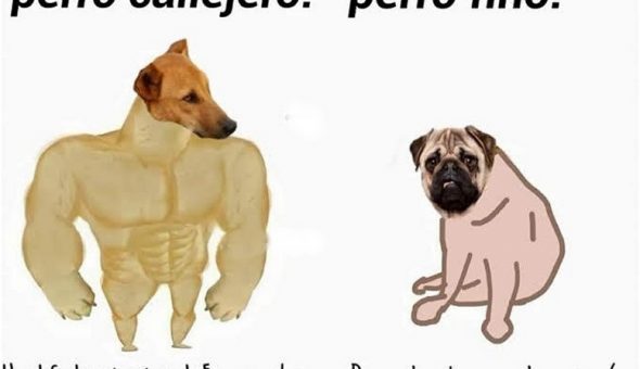 De perro grande a perro chico es el meme que se ríe del presente