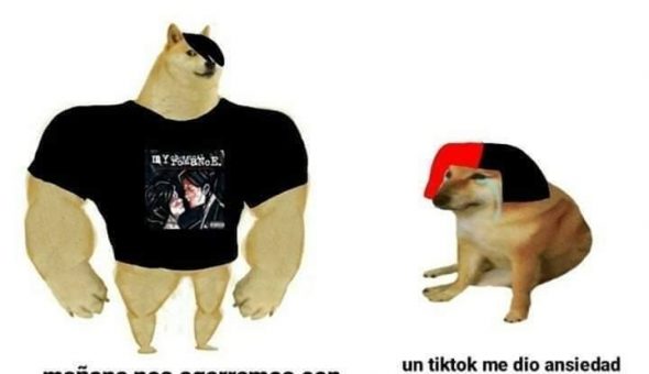 De perro grande a perro chico es el meme que se ríe del presente