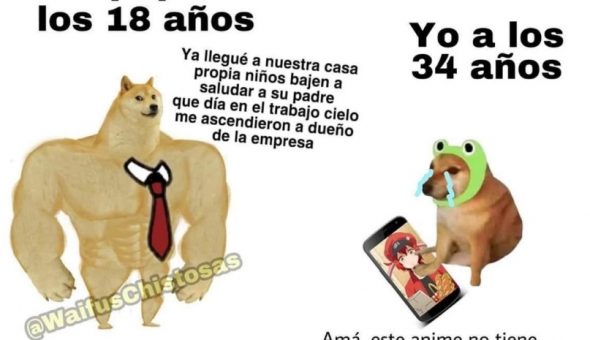 De perro grande a perro chico es el meme que se ríe del presente