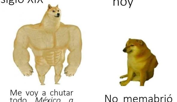 De perro grande a perro chico es el meme que se ríe del presente