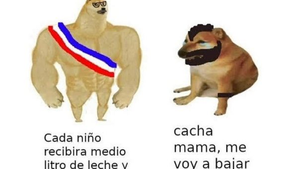 De perro grande a perro chico es el meme que se ríe del presente