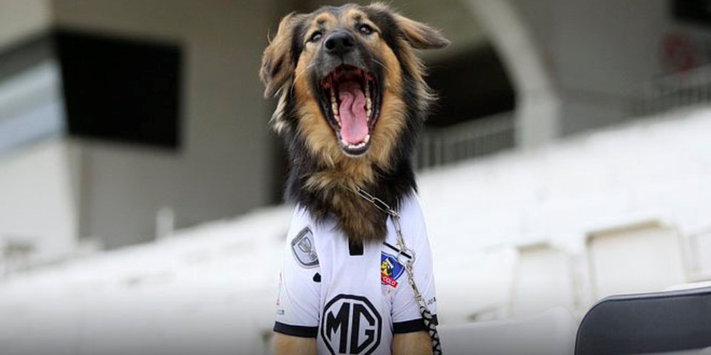 capitán Colo Colo