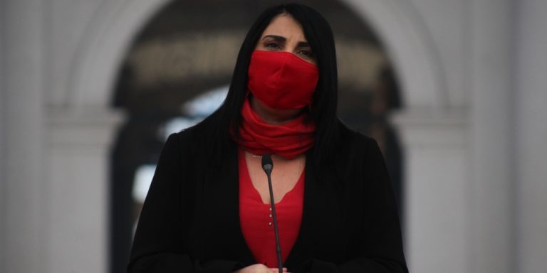 Karla Rubilar minuta alimentos