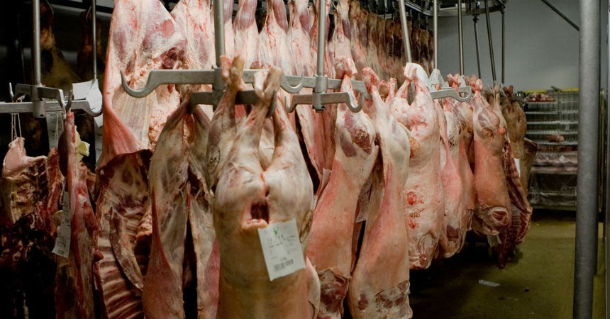 matadero alemania covid-19