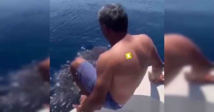 hombre tiburón ballena