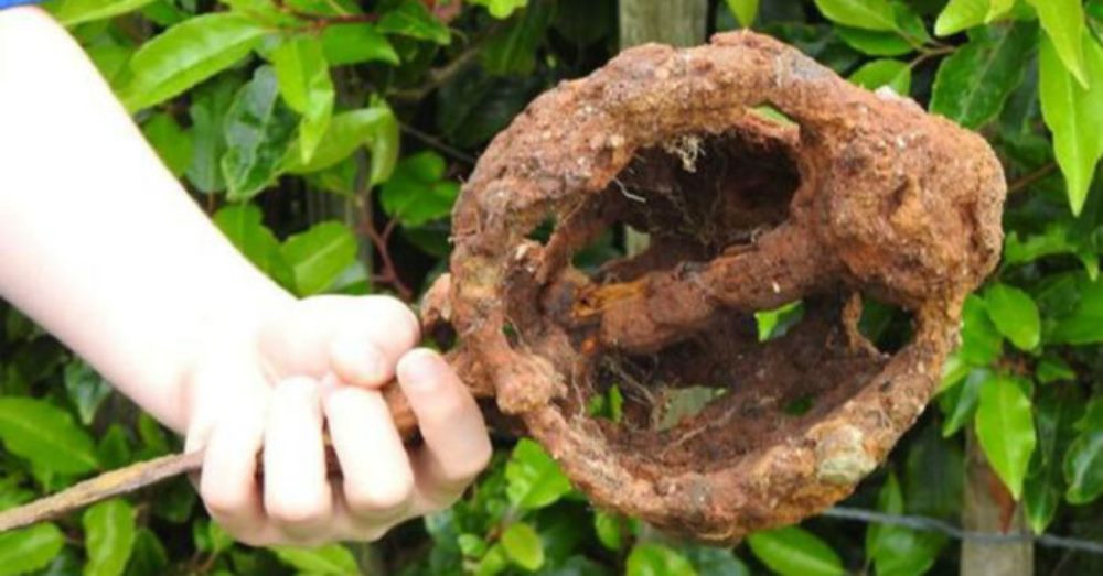 niño detector espada