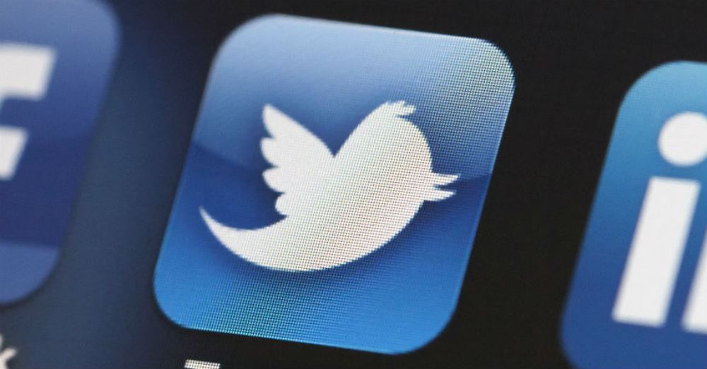 Lidia Rodrigo Twitter