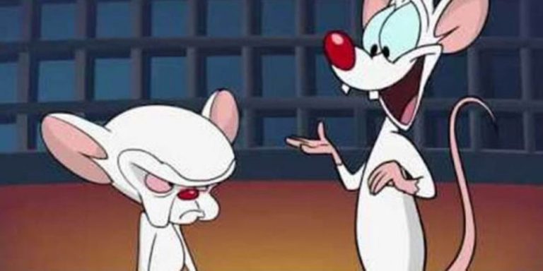 Pinky Cerebro Animaniacs