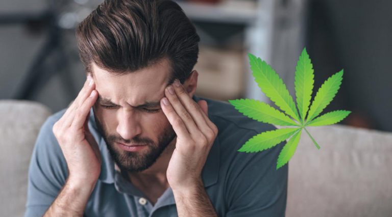 Uso de Cannabis puede generar más dolor de cabeza