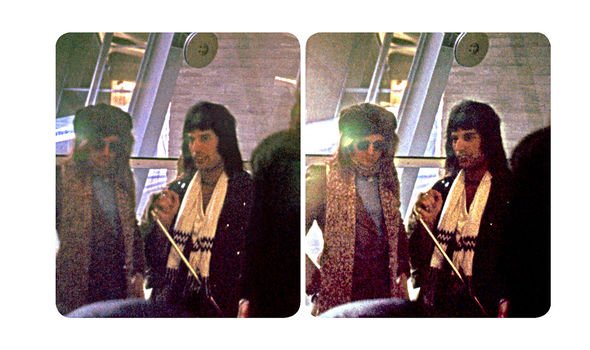 Freddie Mercury Taylor