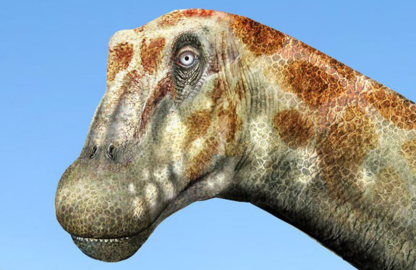 Nueva especie de dinosaurio fue descubierto en Chile — Futuro Chile Nueva especie de dinosaurio fue descubierto en Chile — Futuro Chile
