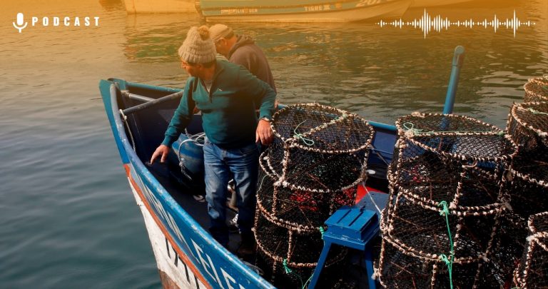 Pesca Artesanal Industrial Agencia Uno Card Web