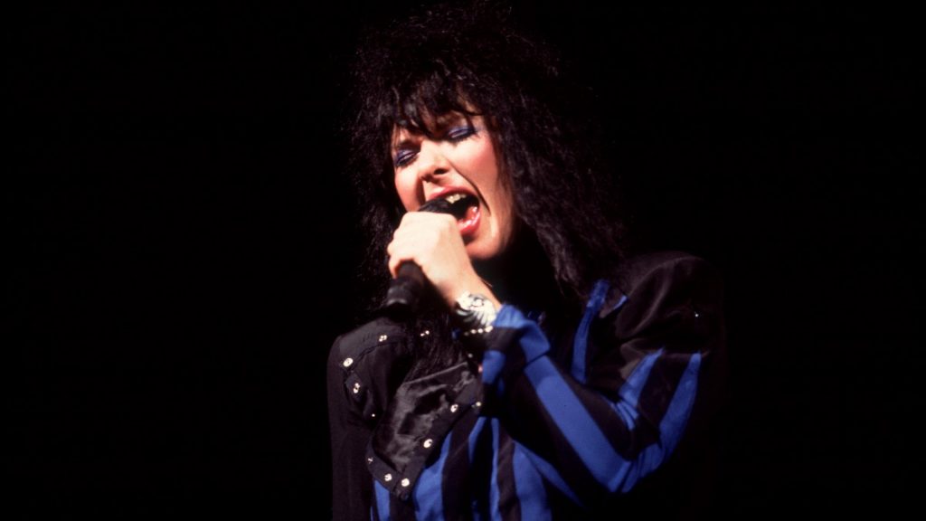 Ann Wilson Heart