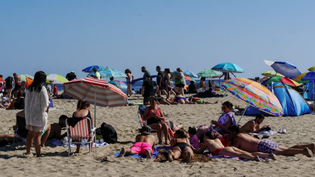 Paso A Paso Apertura Inicial