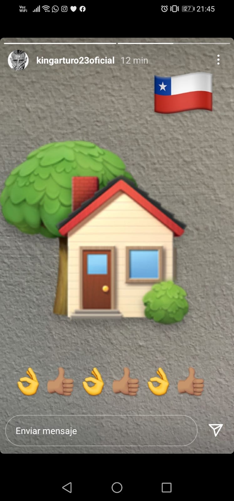 Arturo Vidal Historia Boric