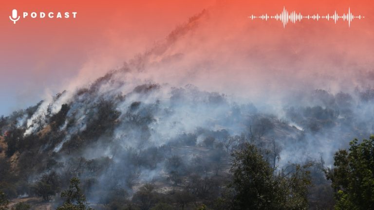 Incendio Forestal Pqn Card Web