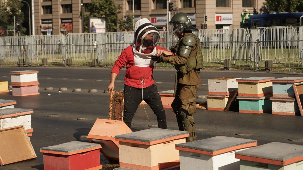 Abejas La Moneda Web