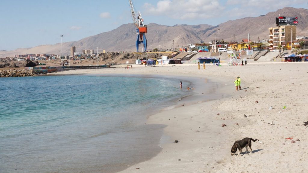 Alerta Tsunami Onemi 02 Web