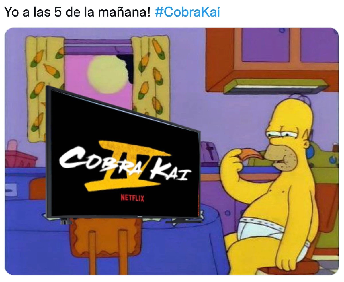 Cobra Kai S04 Meme 05