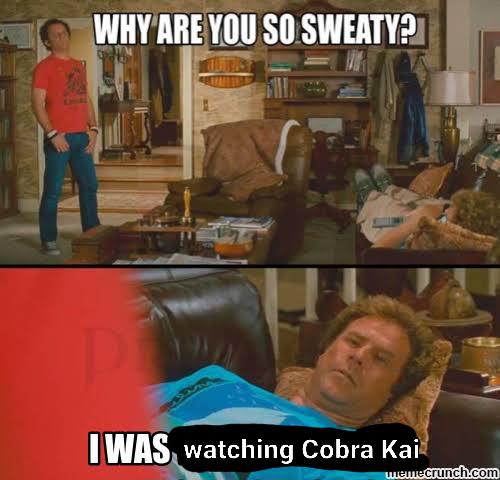 Cobra Kai S04 Meme 09