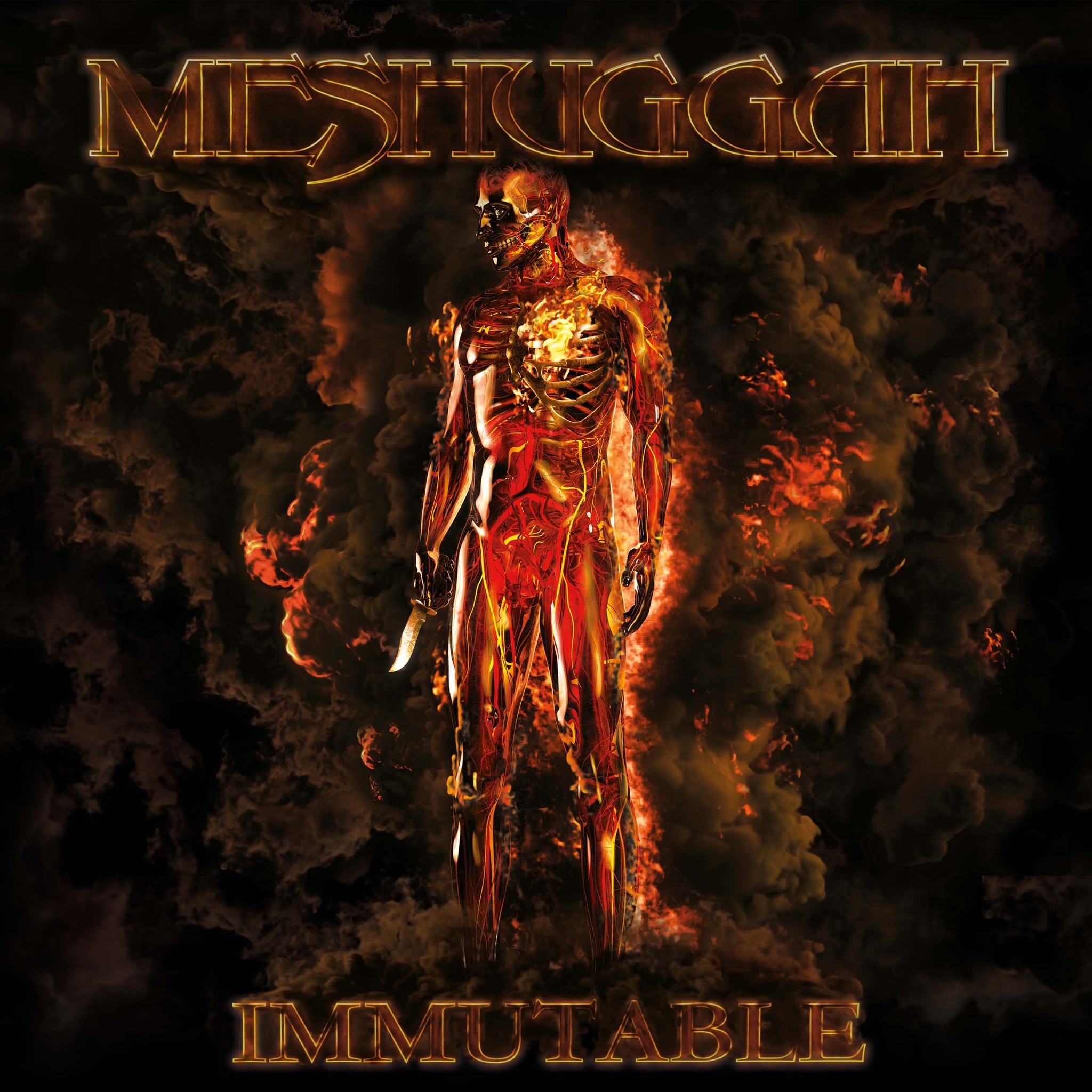 Meshuggah2