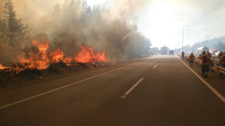 Incendio en Ruta 5 Sur