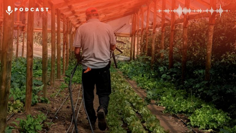 Chile Rural Card Web