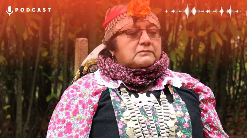 Elisa Avendaño Curaqueo Pqn Card Web