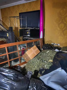 plantación exjugador