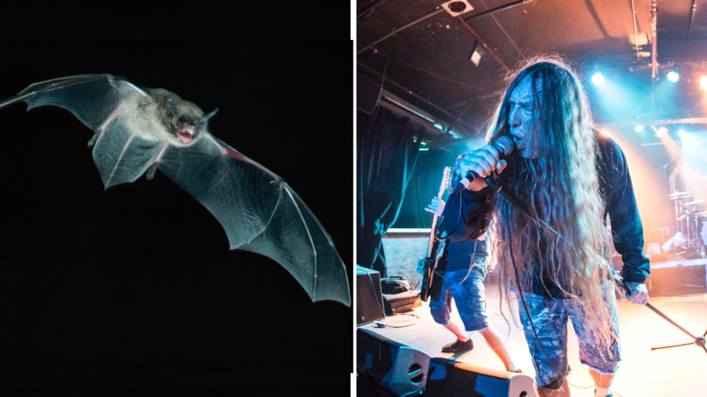 Murcielagos Death Metal