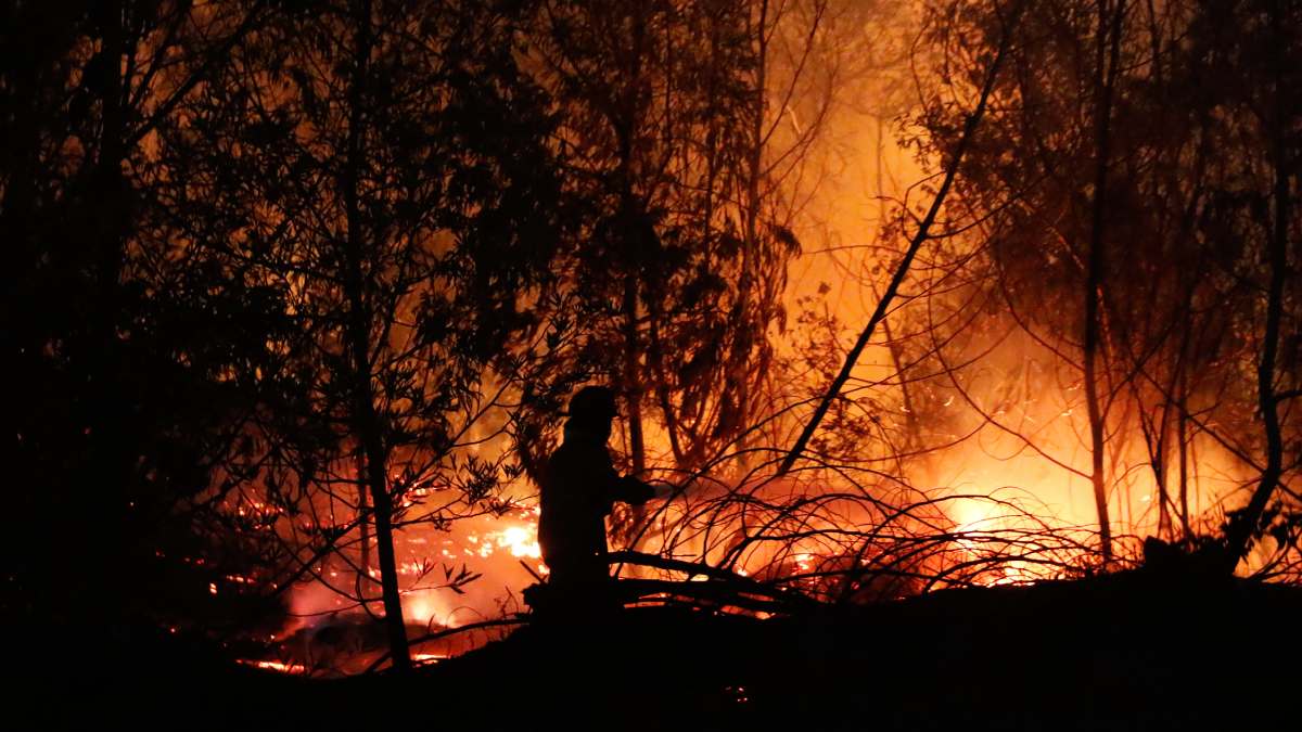 Incendios Forestales Valparaíso