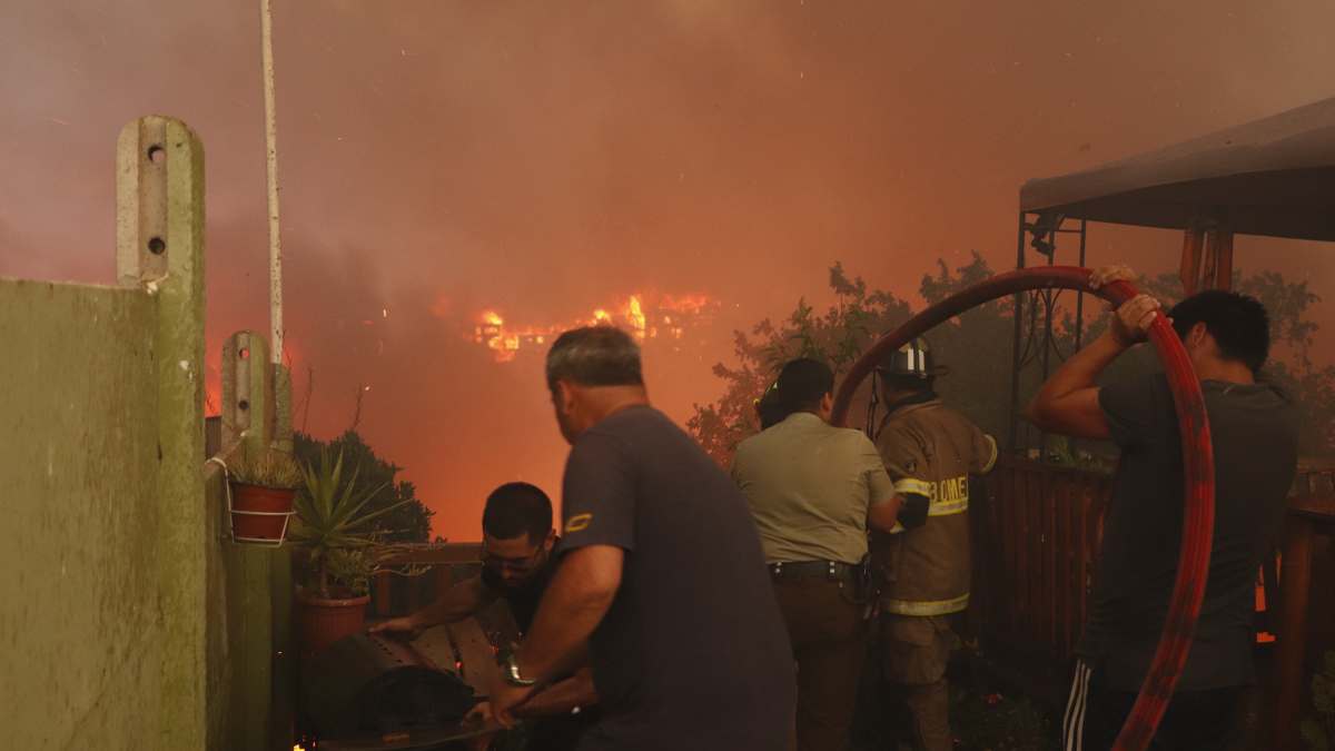 Onemi Evacuó Zonas En Viña Del Mar Incendios