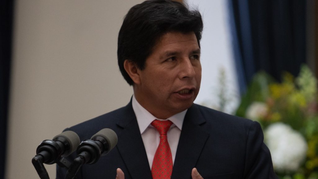 Pedro Castillo Golpe