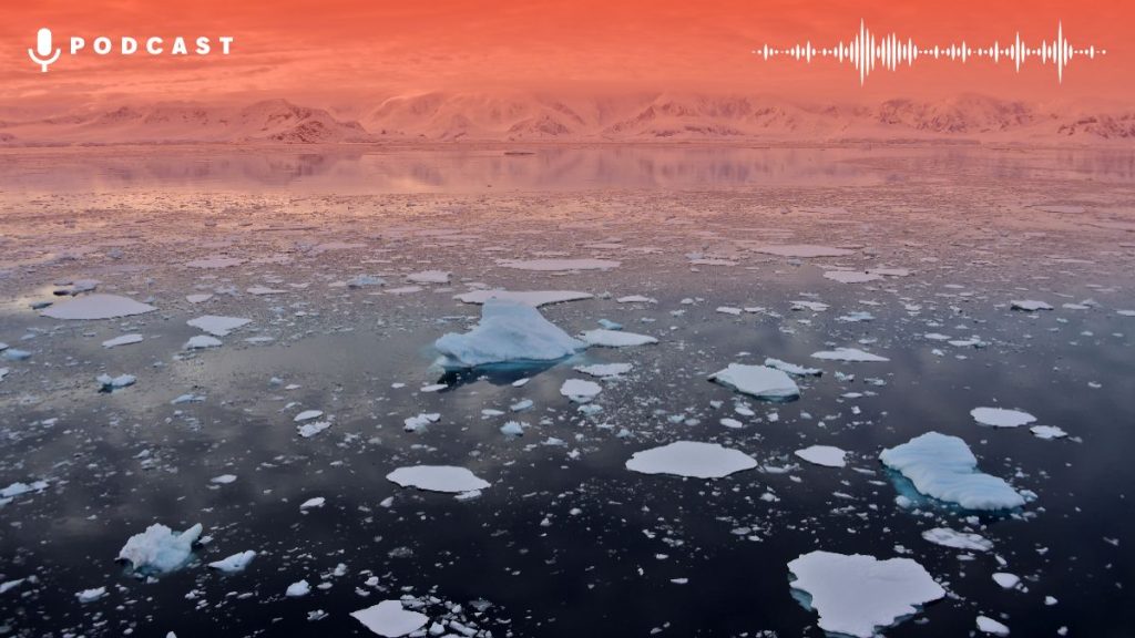 Diseño Sin Título (3)