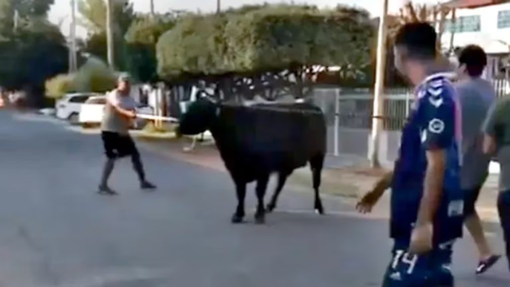 Diseño Sin Título (9)