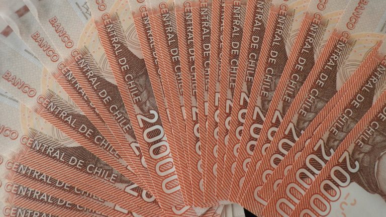 Qué Es El Bolsillo Familiar Electrónico