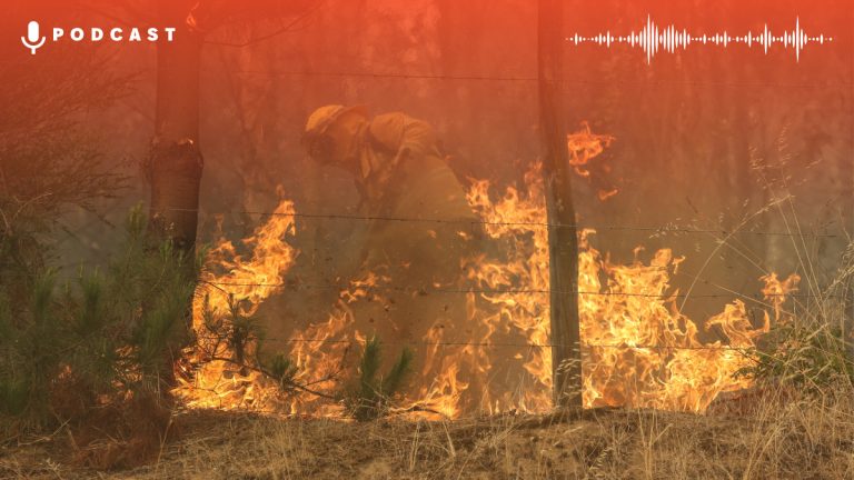 Conaf Incendios Forestales Asociación de Contratistas Forestales