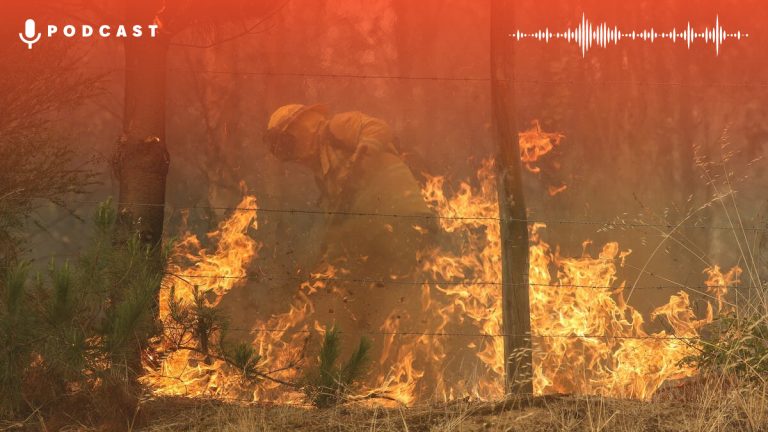 Incendios Forestales Araucania Card Web